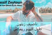 Nassif Zeytoun - Toul Al Yom [Remix by DJ. Peter] (2021) / ناصيف زيتون - طول اليوم ريمكس